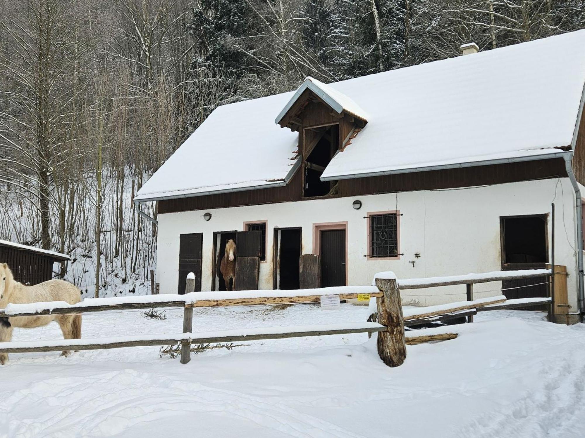 Holiday Home Stárkov Exterior foto